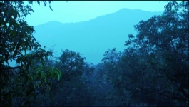 Sasural Simar Ka - 10th January 2023